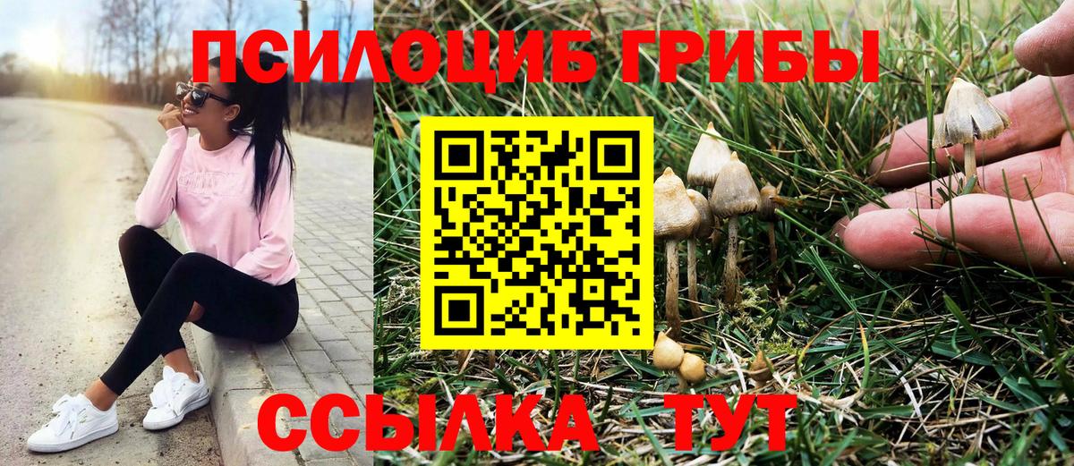 Псилоцибиновые грибы прущие грибы Владимир